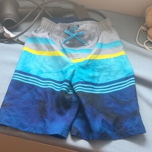 ZeroXposur Blue and Gray Swim Shorts